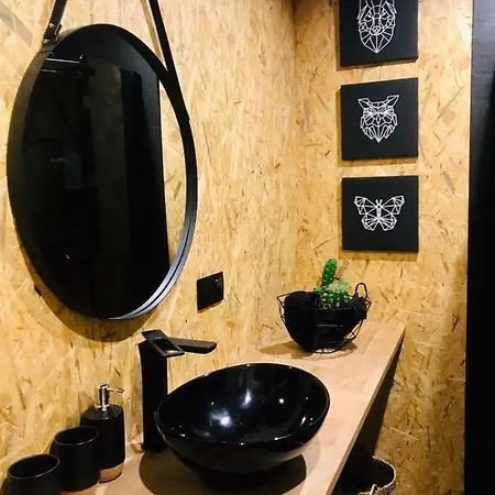 Eko Apartament Spodek 卡托维兹