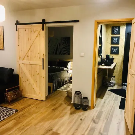 Eko Apartament Spodek 卡托维兹