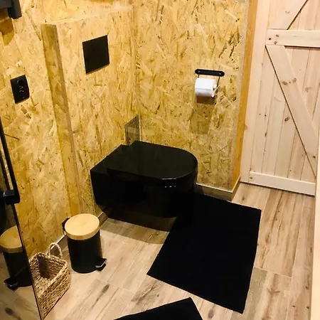 公寓 Eko Apartament Spodek 卡托维兹