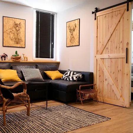 Eko Apartament Spodek 公寓 *