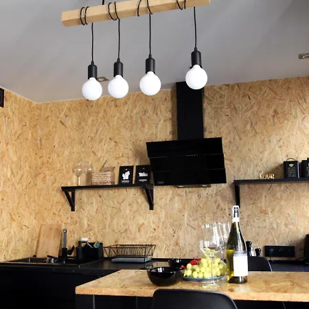 Eko Apartament Spodek * 卡托维兹