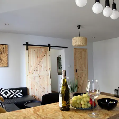 Eko Apartament Spodek 公寓