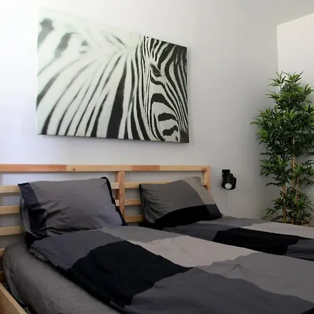 Eko Apartament Spodek 卡托维兹