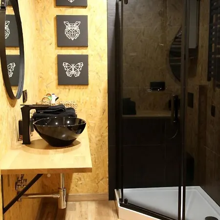 公寓 Eko Apartament Spodek 卡托维兹